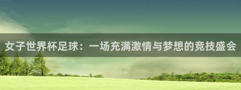世界杯预选赛欧洲赛区积分榜：女子世界杯足球：一场充满激情与梦想的竞技盛会