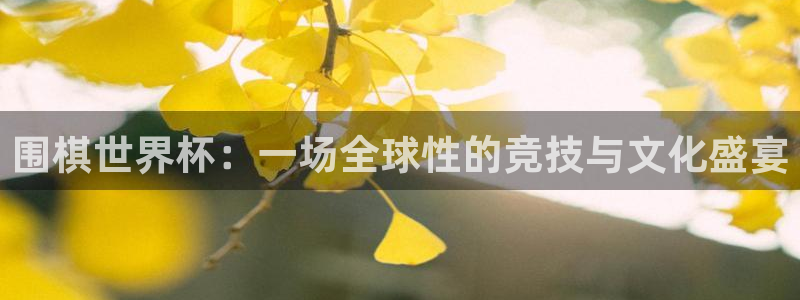 世界杯比赛时间：围棋世界杯：一场全球性的竞技与文化盛宴