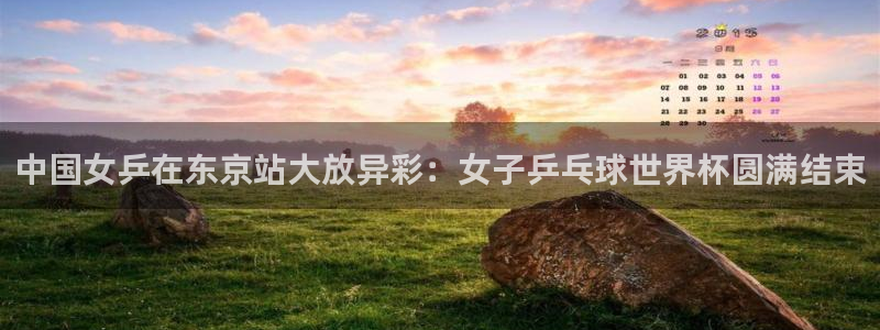世界杯比赛直播：中国女乒在东京站大放异彩：女子乒乓球世界杯圆满结束