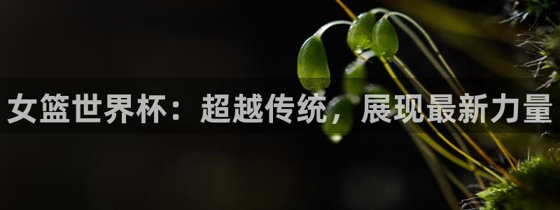 2026男足世界杯赛程：女篮世界杯：超越传统，展现最新力量