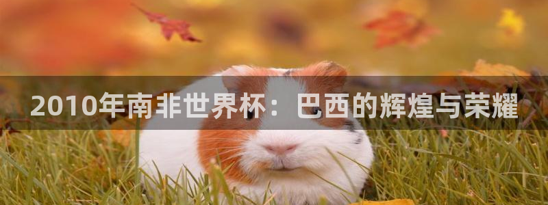 2026世界杯赛制：2010年南非世界杯：巴西的辉煌与荣耀