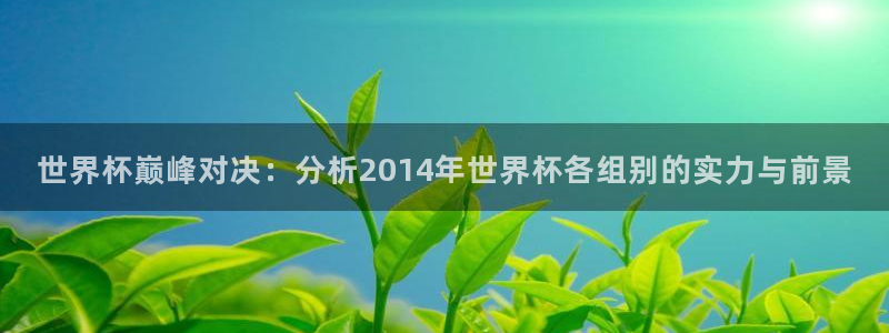 2026世亚预赛赛程表：世界杯巅峰对决：分析2014年世界杯各组别的实力与前景