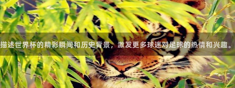 亚洲区世界杯预选赛：描述世界杯的精彩瞬间和历史背景，激发更多球迷对足球的热情和兴趣。