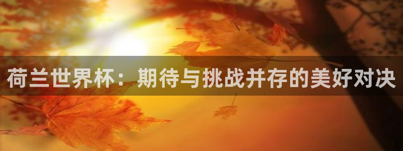 世界杯附加赛赛程表：荷兰世界杯：期待与挑战并存的美好对决