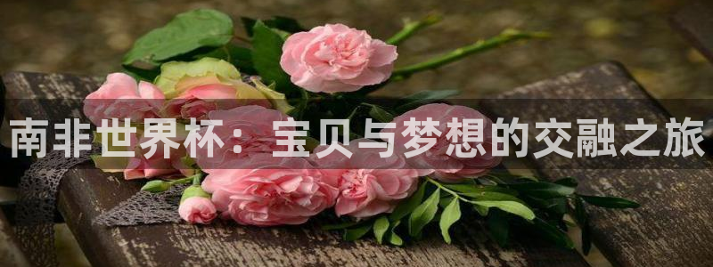 世界杯决赛直播：南非世界杯：宝贝与梦想的交融之旅