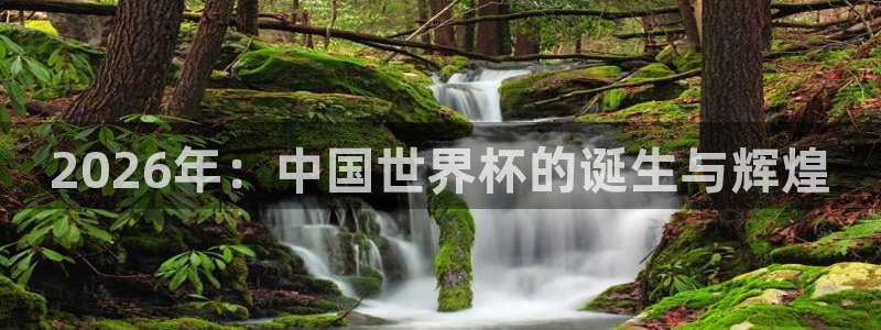 2026世界杯32强对阵图表：2026年：中国世界杯的诞生与辉煌