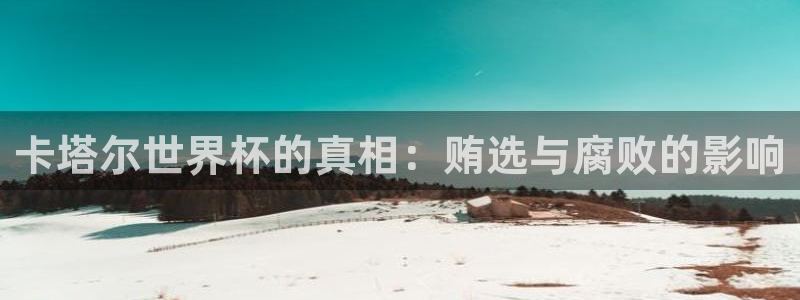 2026葡萄牙杯赛程表：卡塔尔世界杯的真相：贿选与腐败的影响