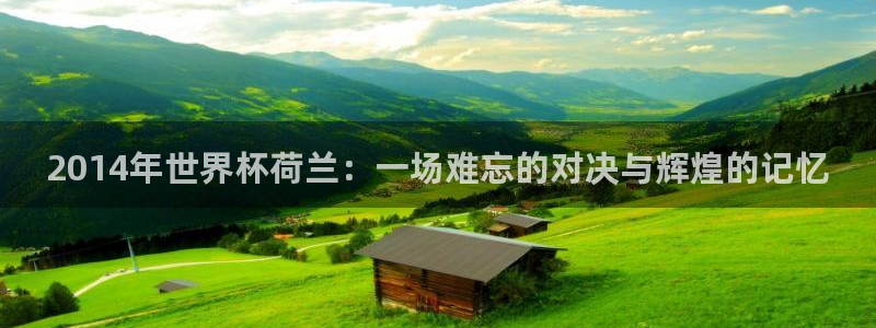 世界杯欧洲区世预赛赛程：2014年世界杯荷兰：一场难忘的对决与辉煌的记忆