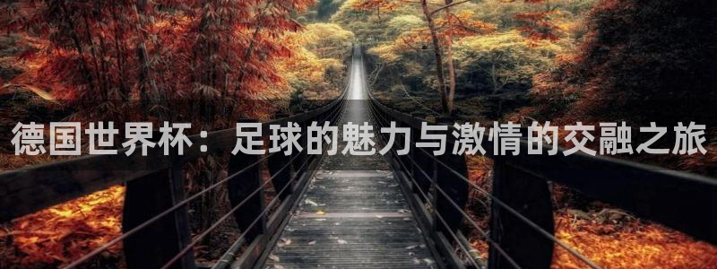 世界杯亚洲区预选赛积分榜：德国世界杯：足球的魅力与激情的交融之旅