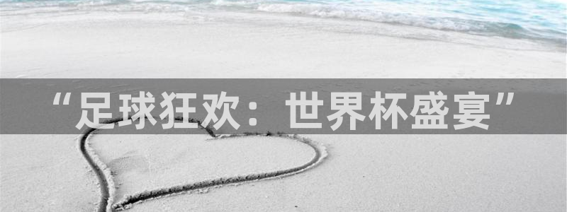 世界杯决赛预测：“足球狂欢：世界杯盛宴”